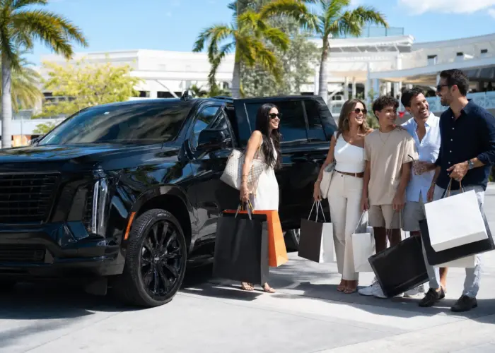 Private transfer to Dolphin Mall, Miami